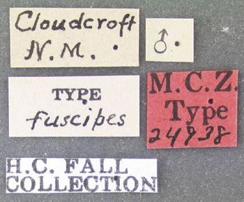 Media type: image;   Entomology 24938 Aspect: labels